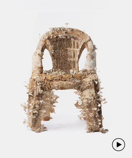 agricultural waste-grown mycelium by NONGZAO takes over everyday plastic objects