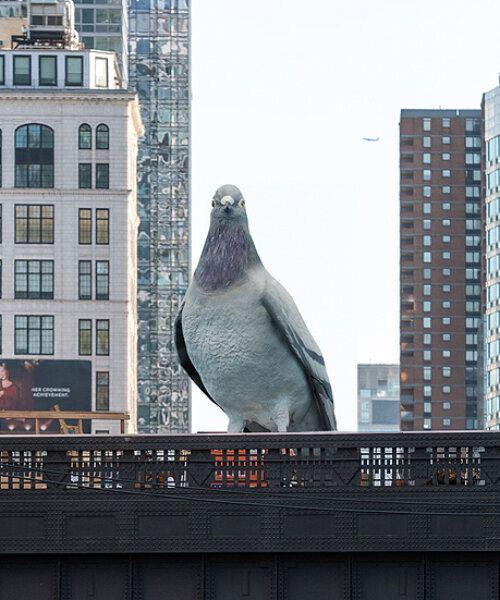 giant aluminum pigeon ‘dinosaur’ by iván argote to perch above the high line in new york