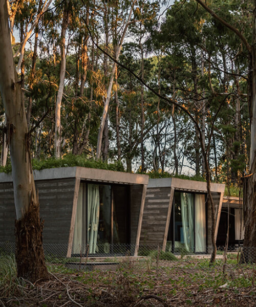 gonzalo bardach's stone house frames views of argentina's forest through vast voids