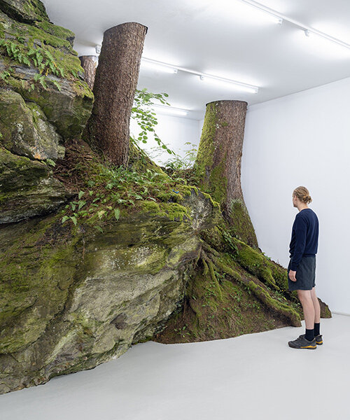 fabian knecht installation isolates austria's wild nature within a white cube